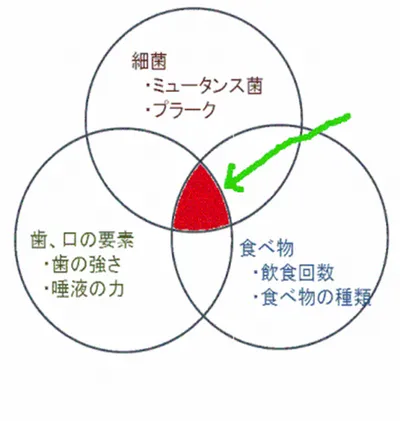 横浜市中区の歯科・歯医者 横浜山手デンタルクリニック　Paul Keysの齲蝕論